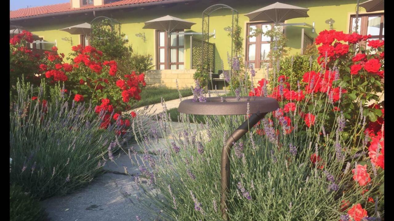 Agriturismo Da Mamma Alba  Exterior photo